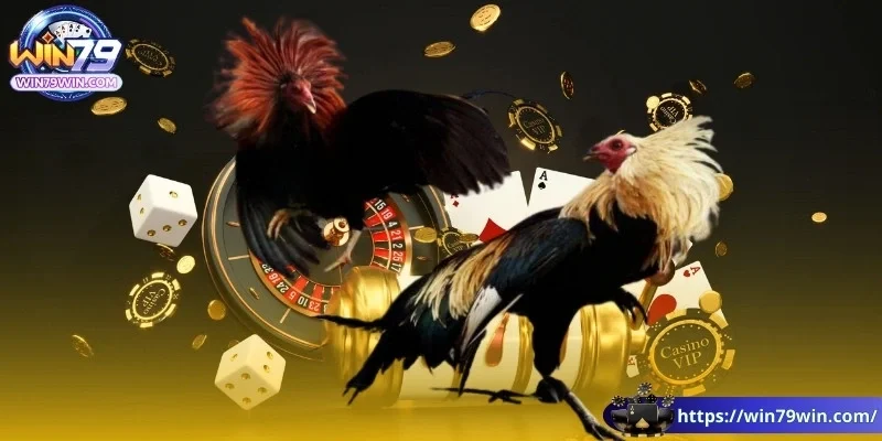 da-ga-win79-gioi-thieu